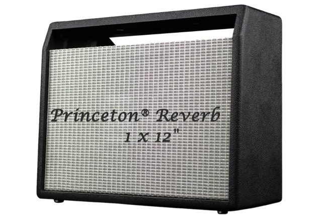 Princeton Reverbe 1 x 12 cab